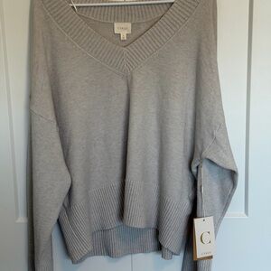 Cyrus Light Gray V-Neck Women's Sweater